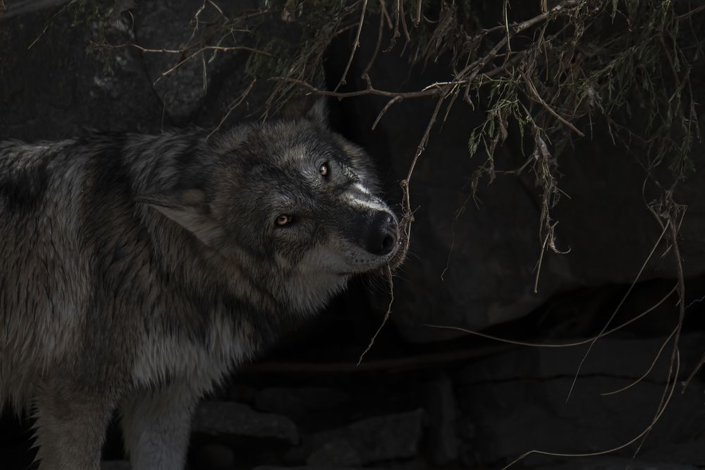 Photograph by Ivan Tamba