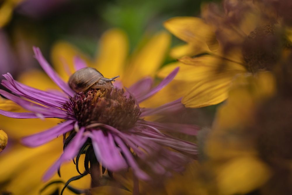 Photograph by Николай Фонарёв