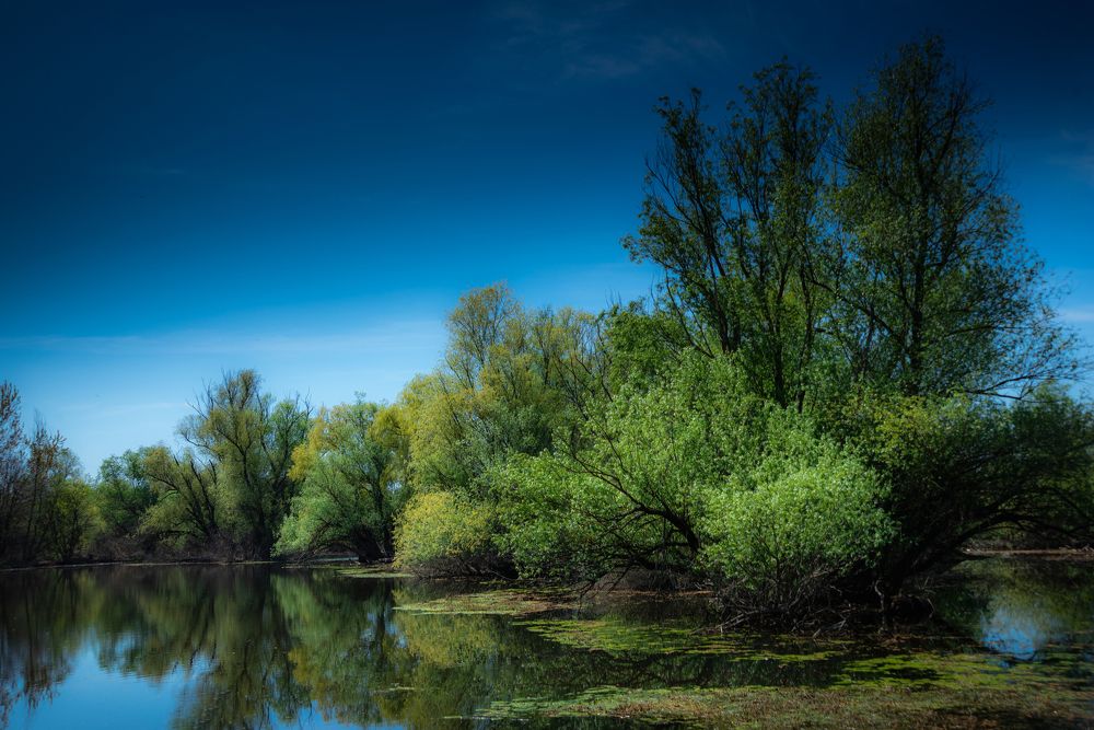 Photograph by Milan Gabarić