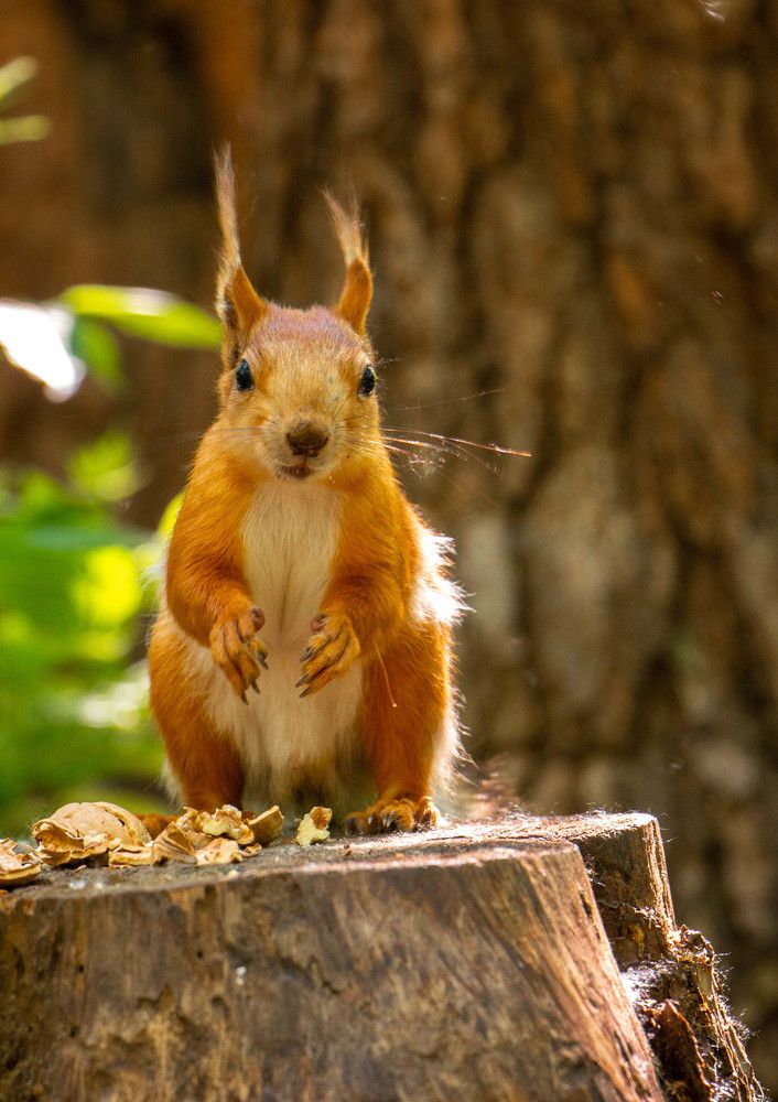 Photograph by Julija