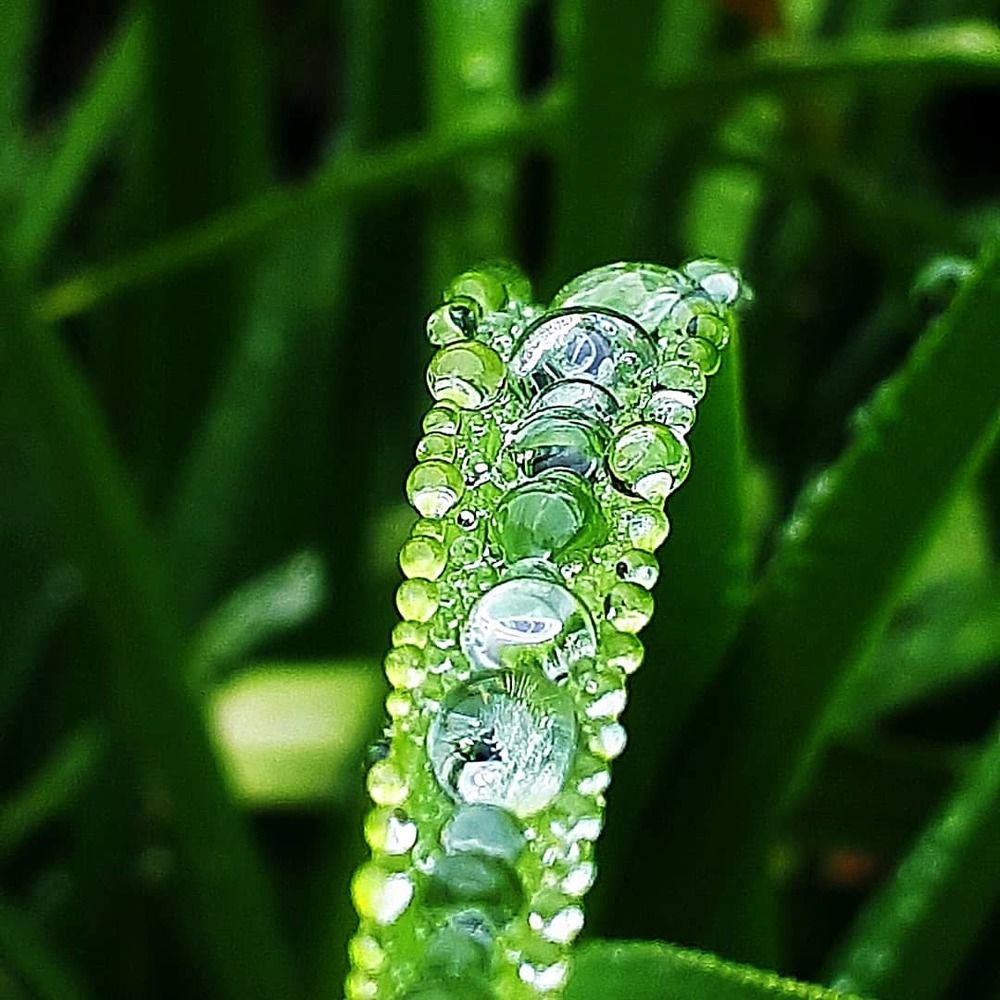 Photograph by Kristiina Soots