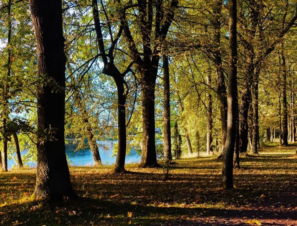 Photograph by Kristiina Soots