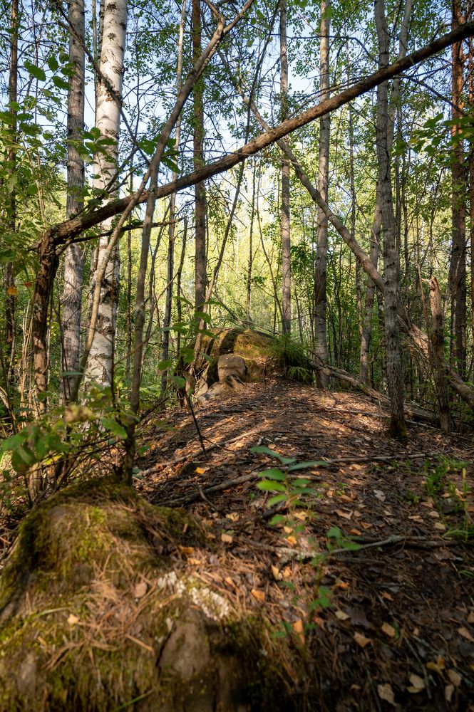 Жуковлянский валун