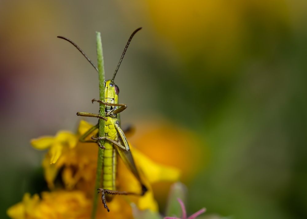 Photograph by Николай Фонарёв