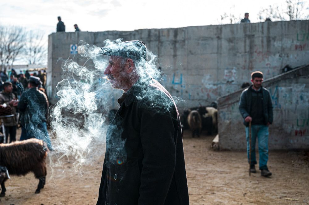 Photograph by betul toygar