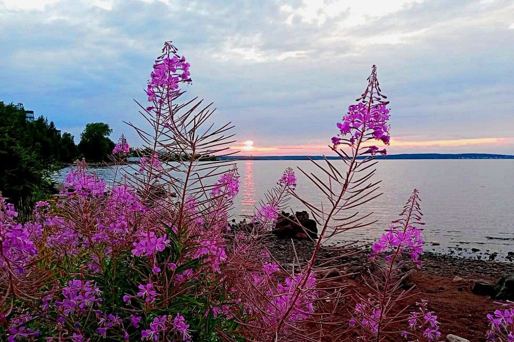 Photograph by Сергей Афанасьев