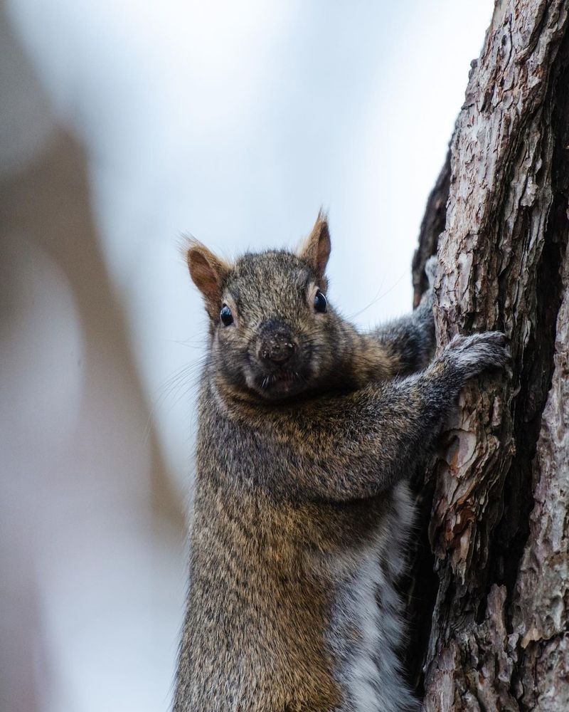 Photograph by Айкез Кадыр