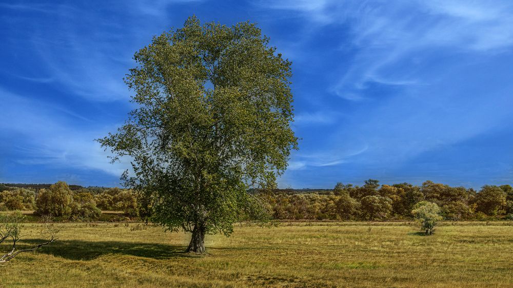 Photograph by Алена Кучина