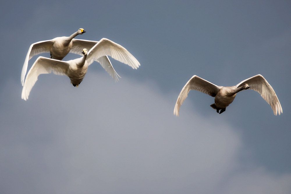 Photograph by Anna Suchcicka