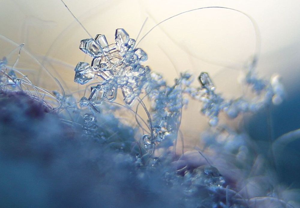 Photograph by Наталья Булаева