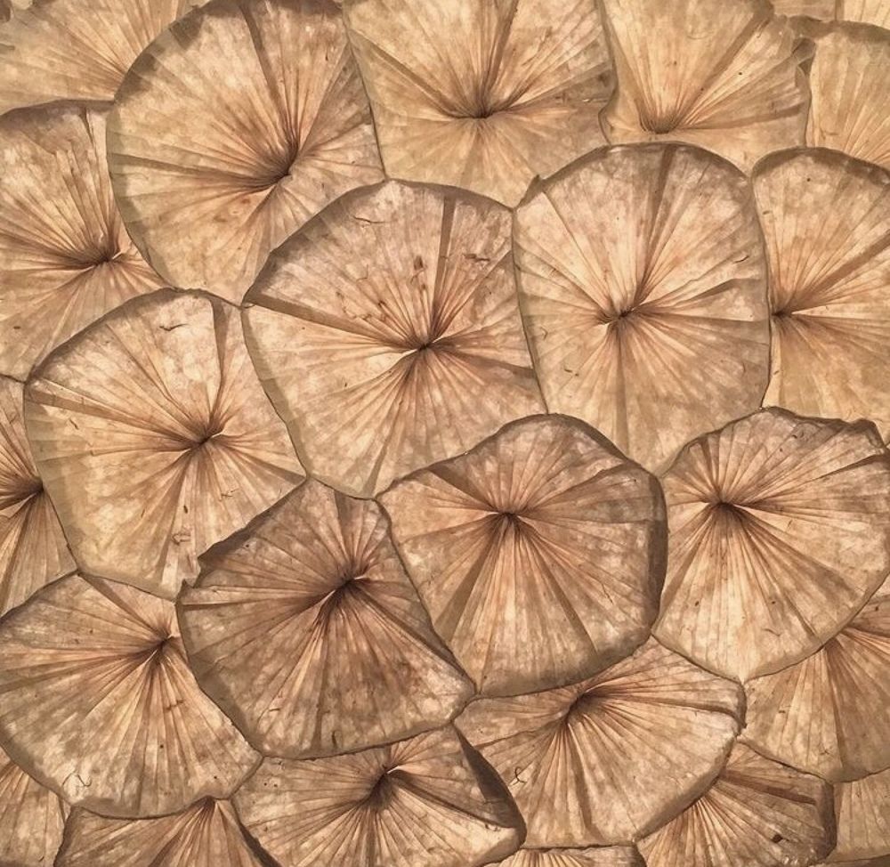 Photograph by Теодора Милекич