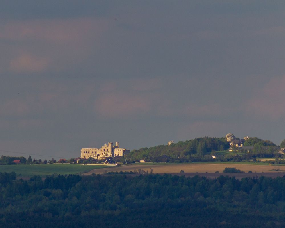 Photograph by Dariusz Pańczyk