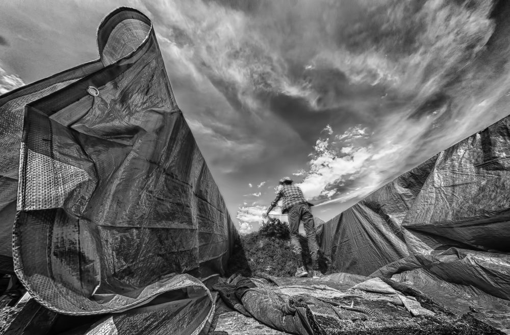 Фотография автора AYLIN EROZCAN