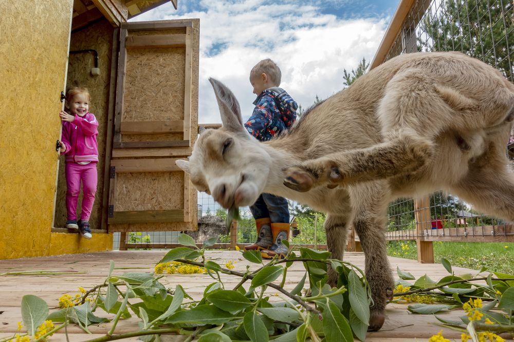 Photograph by Алексей Окунеев