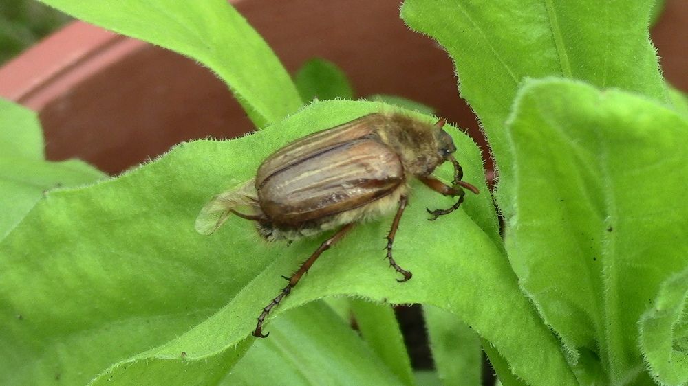 Photograph by Ирина Степановна Азаренкова