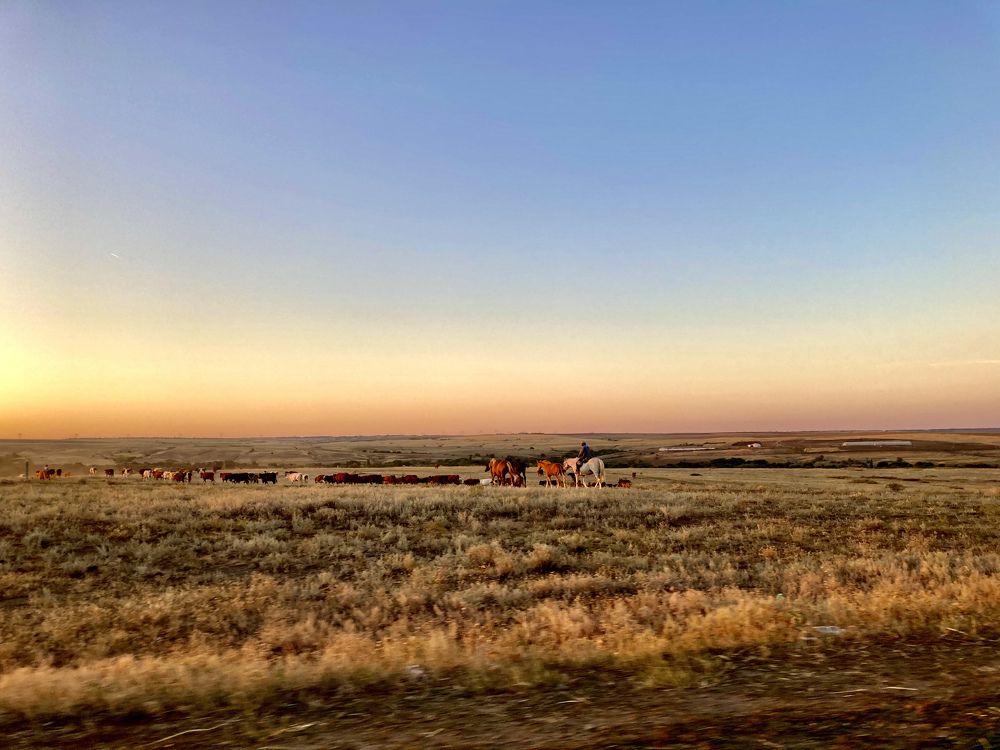 Photograph by Юлия