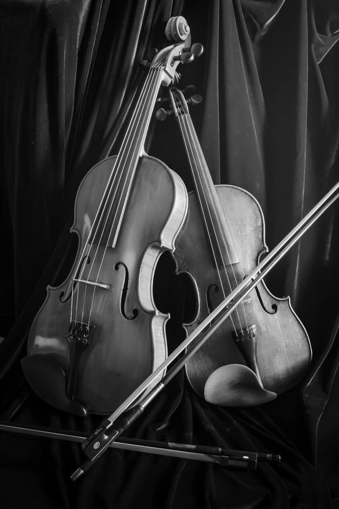 АЛЬТ И СКРИПКА