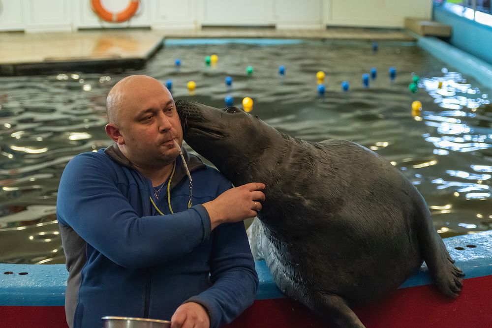 Photograph by Андрей