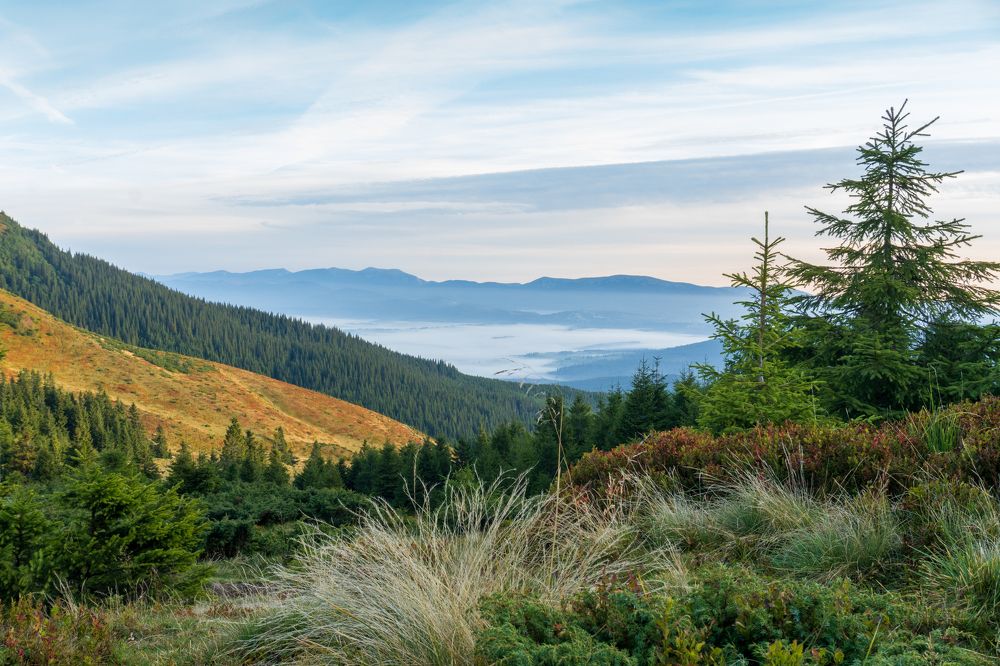 Photograph by Николай Попов