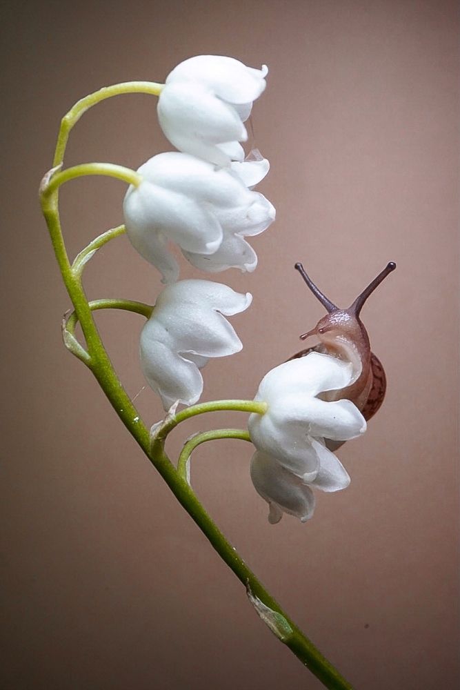 Photograph by Екатерина Коннова