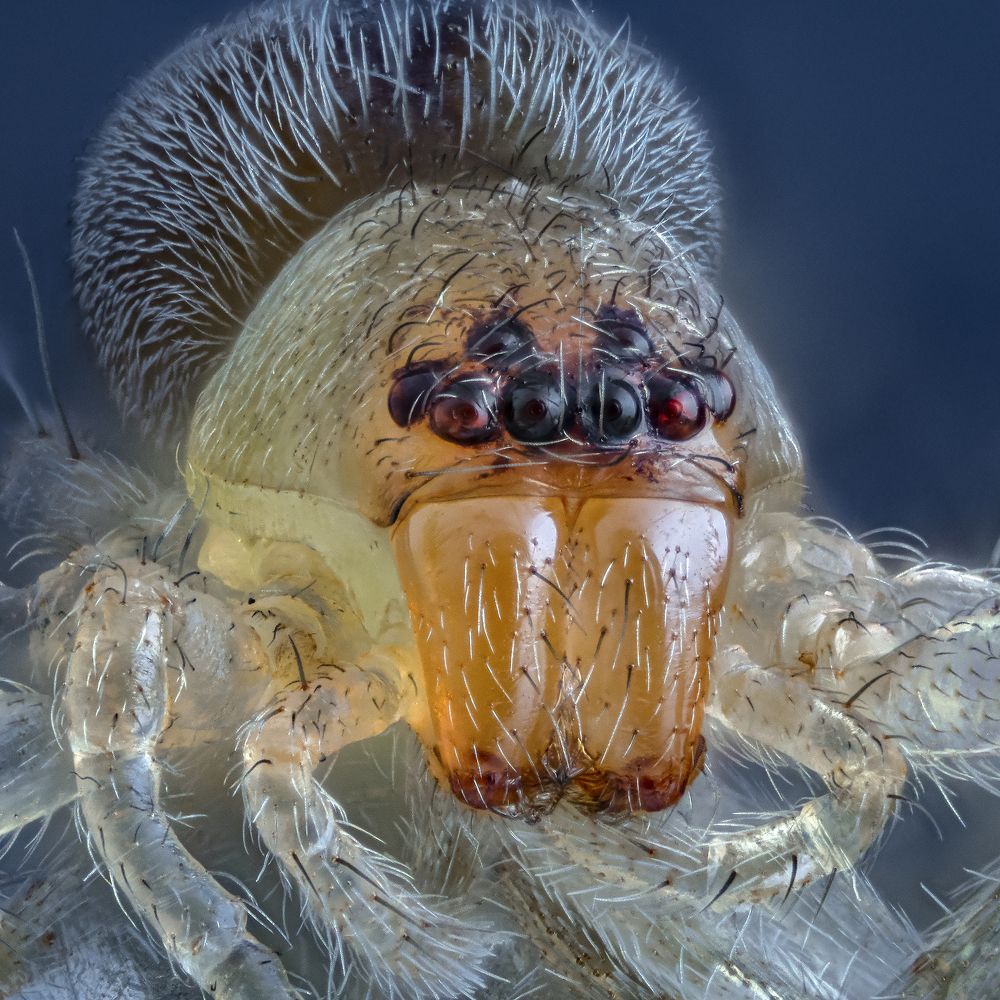 Photograph by Сергей Федоренко