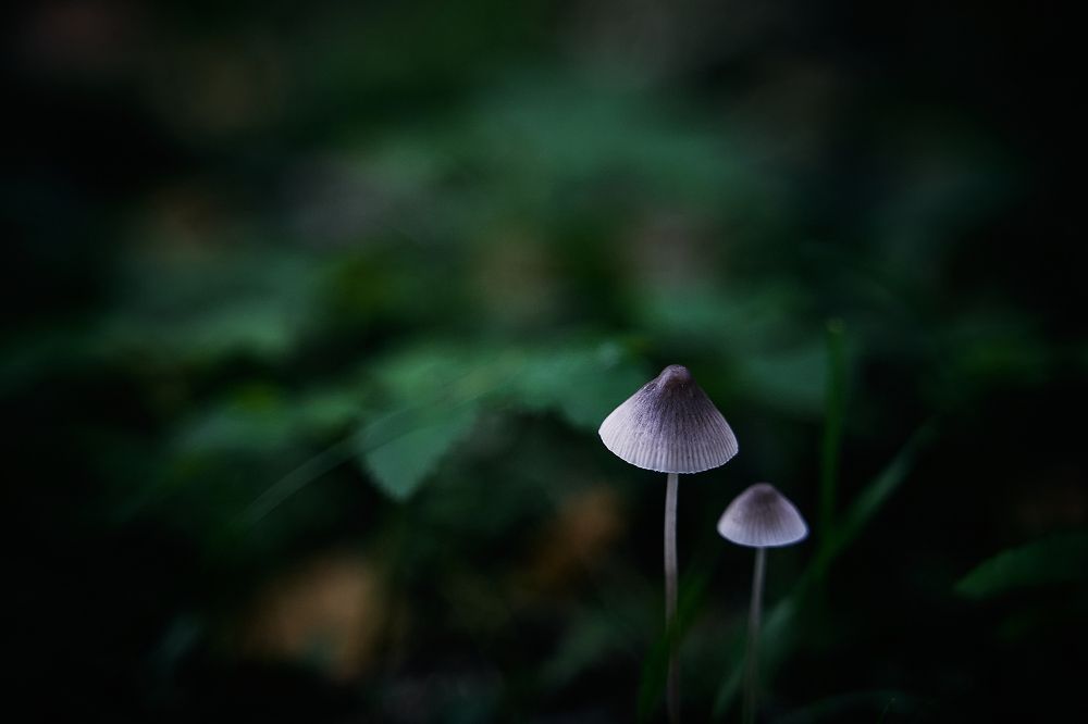 Фотография автора Александр Османов