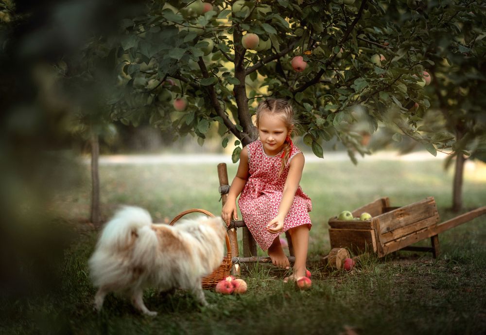 Photograph by Лариса Булавка