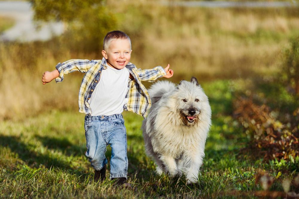 Photograph by Ольга Хазай