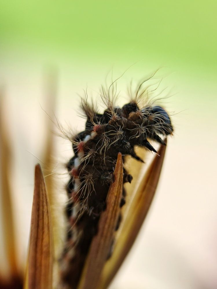 Photograph by Светлана Смирнова