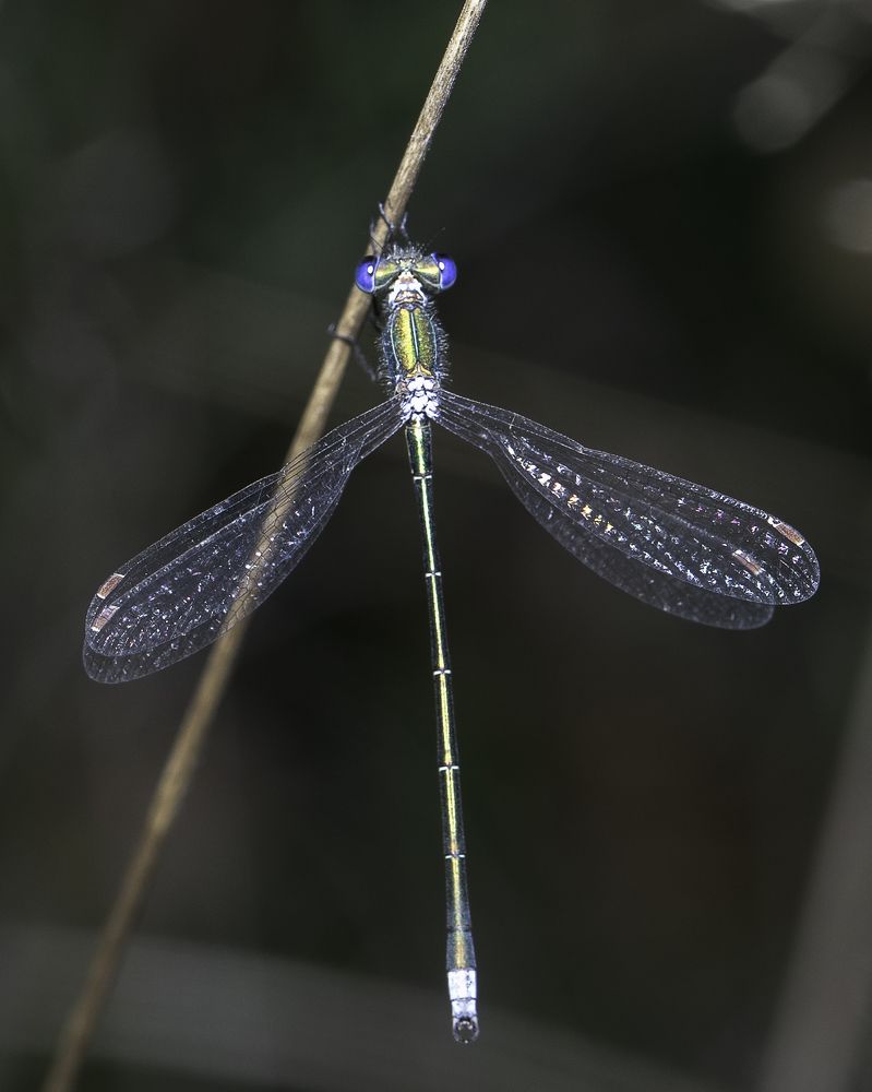 Photograph by Михаил