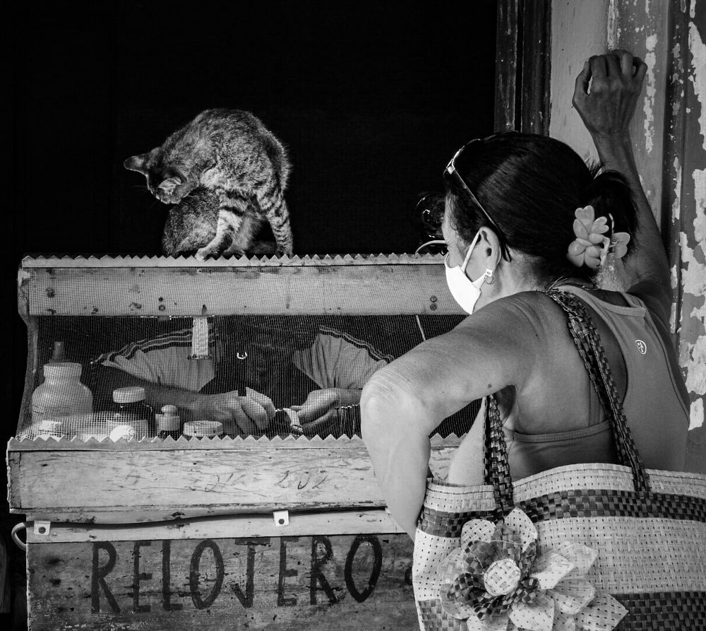 Photograph by Javier Rodriguez Rigual