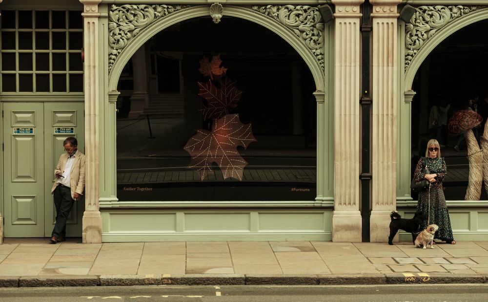 Photograph by Behzad