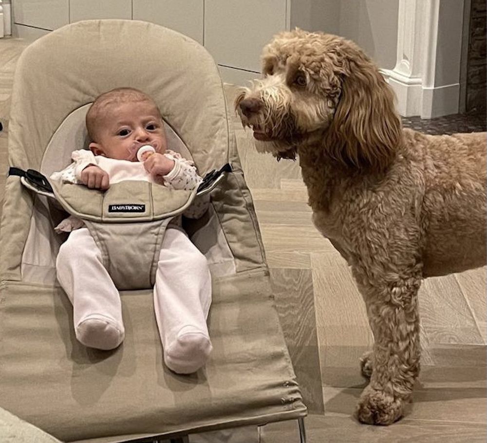 Photograph by Albert Russo