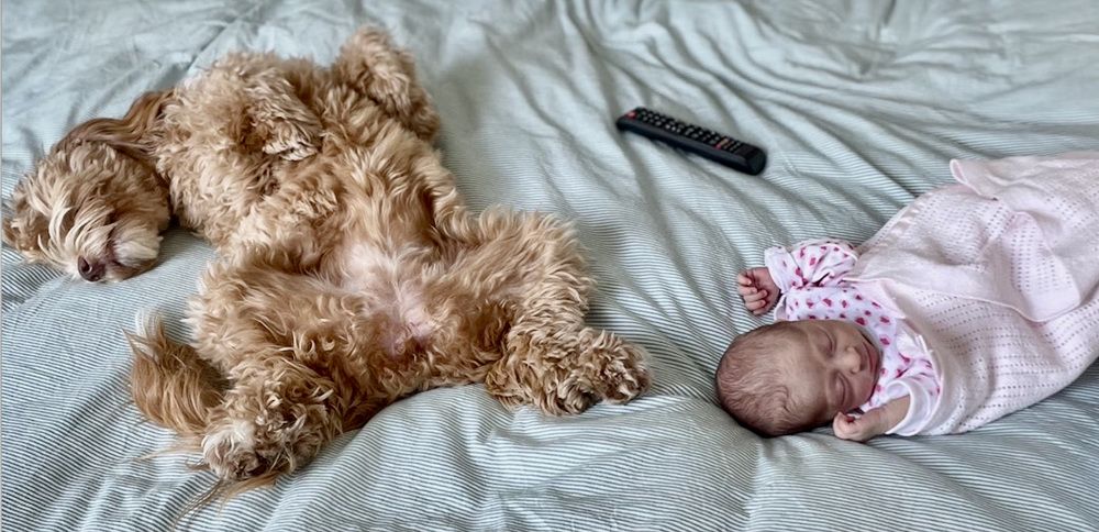 Photograph by Albert Russo