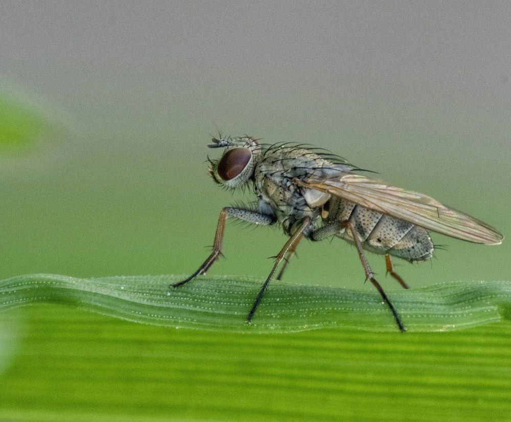 Фотография автора Jorge Herraiz