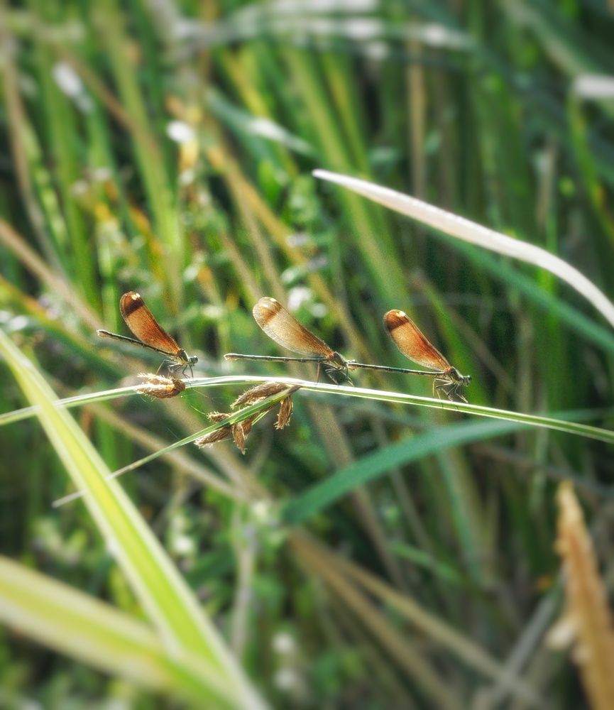 Фотография автора Jorge Herraiz