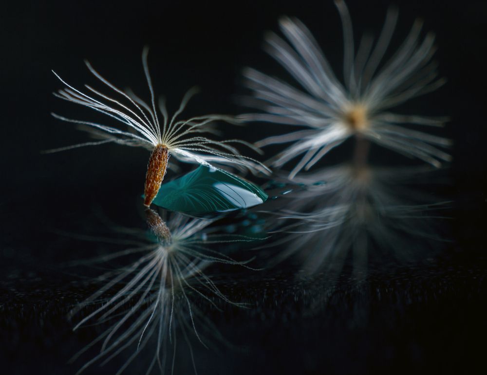 Photograph by Николай Андреев