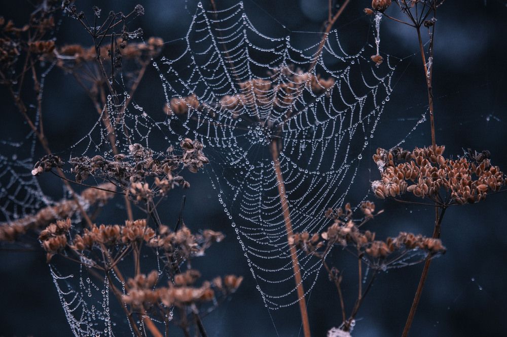 Photograph by Юлия Лушникова