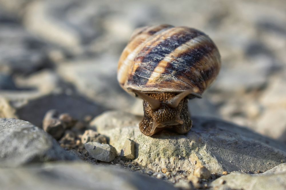 Photograph by Иван Лебедев