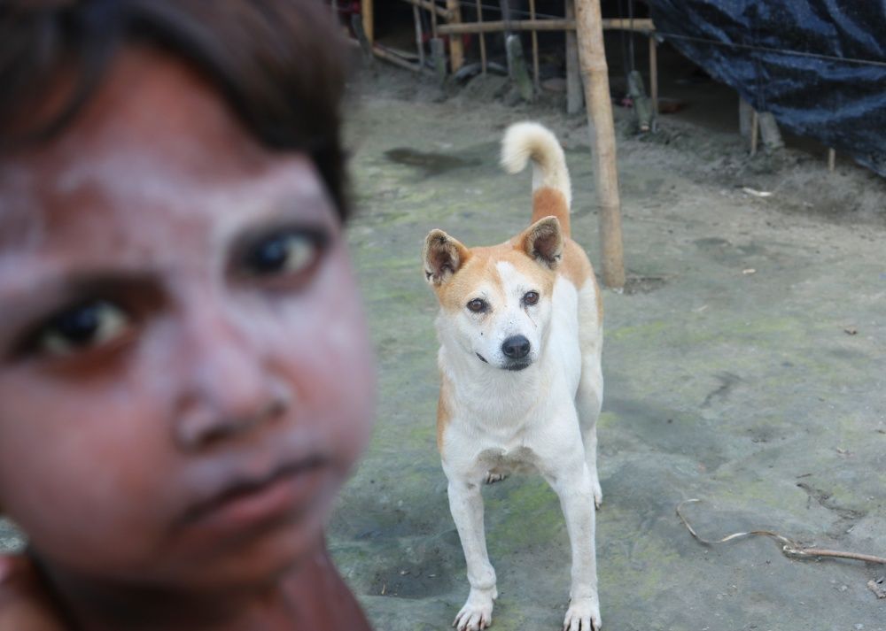 Photograph by Bepary Norullah