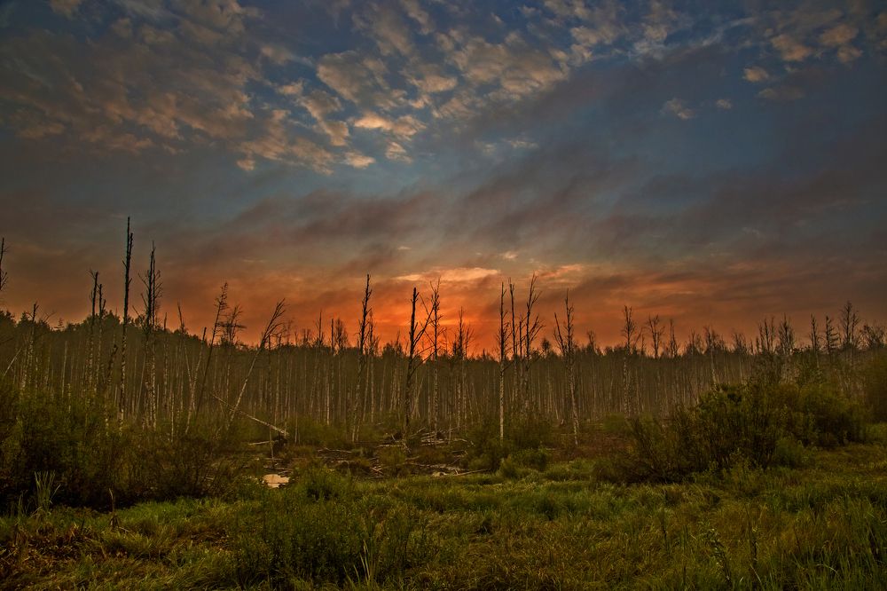 Photograph by Дмитрий Пасынков