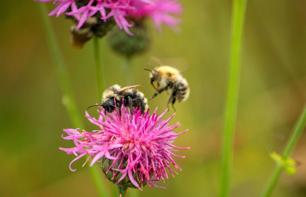 Photograph by Юлия Лушникова