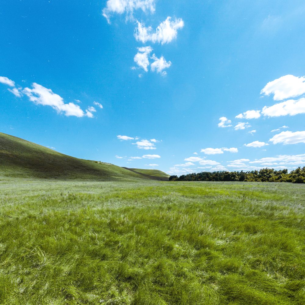 Photograph by Максим Филипов