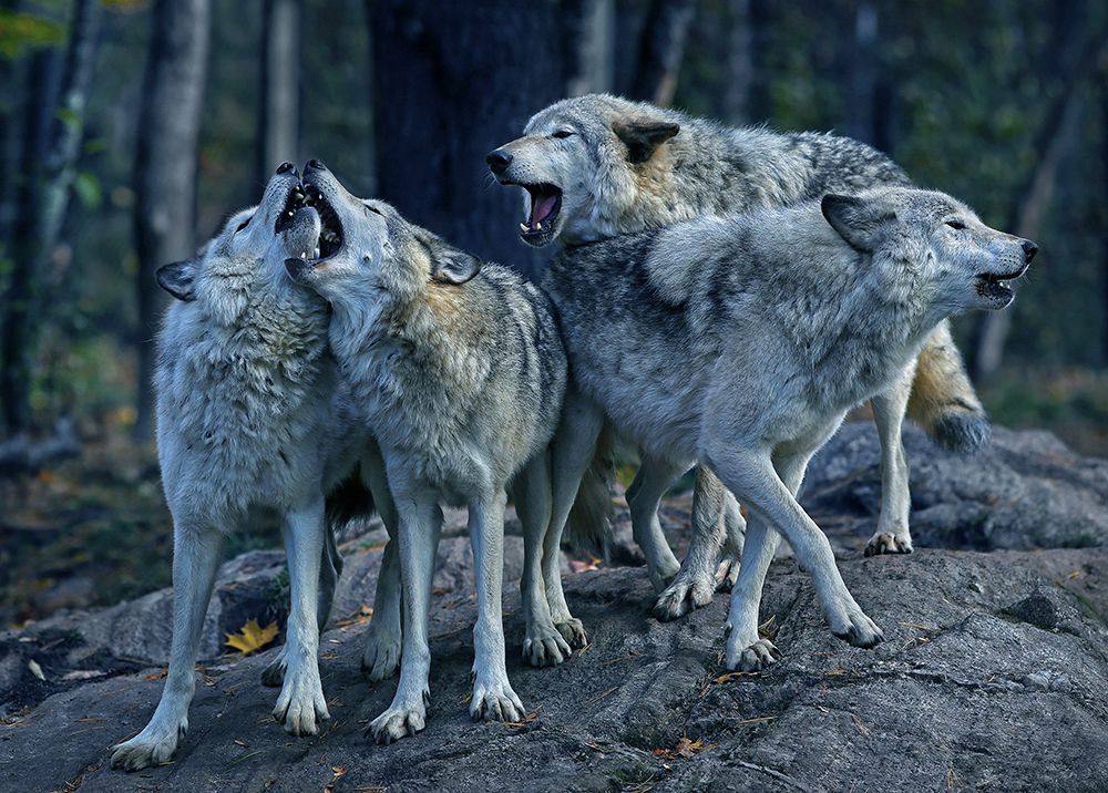 Photograph by Alexander Sviridov