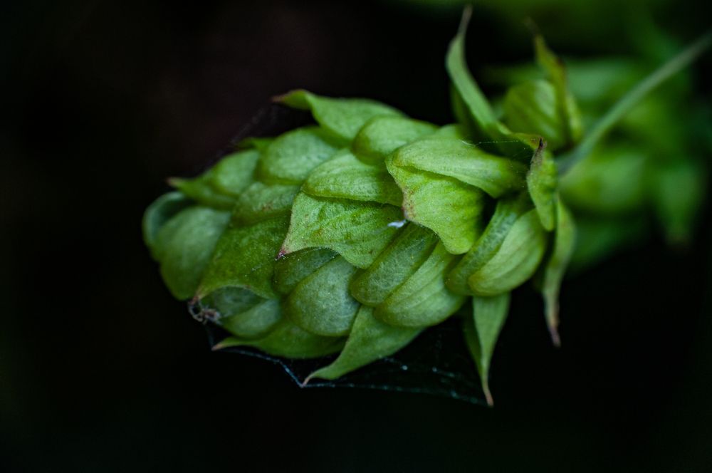Photograph by Виталий Маслов