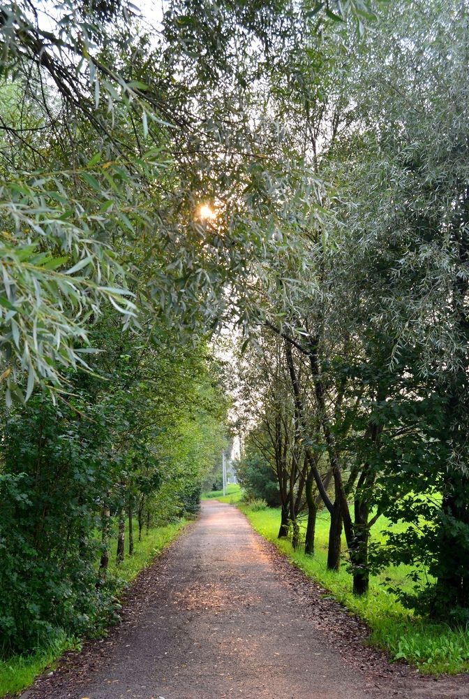 Photograph by Кира Орлова