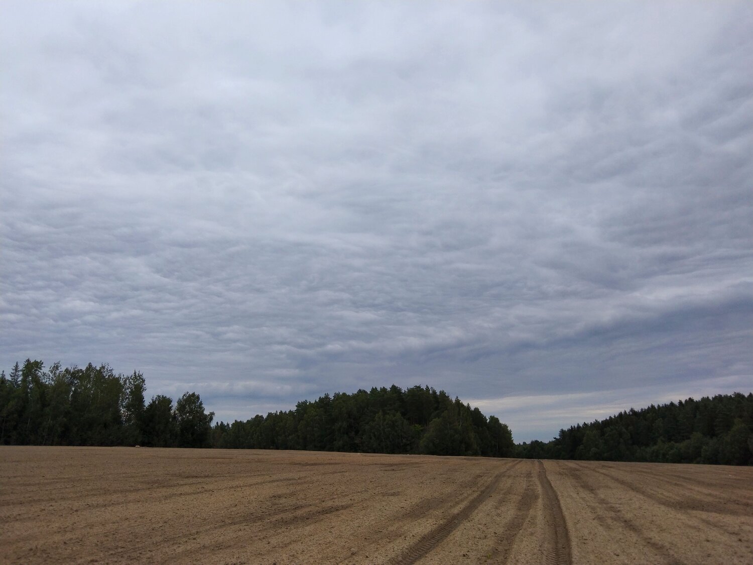 Photo #6489186