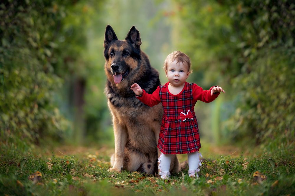 Photograph by Елена Новикова