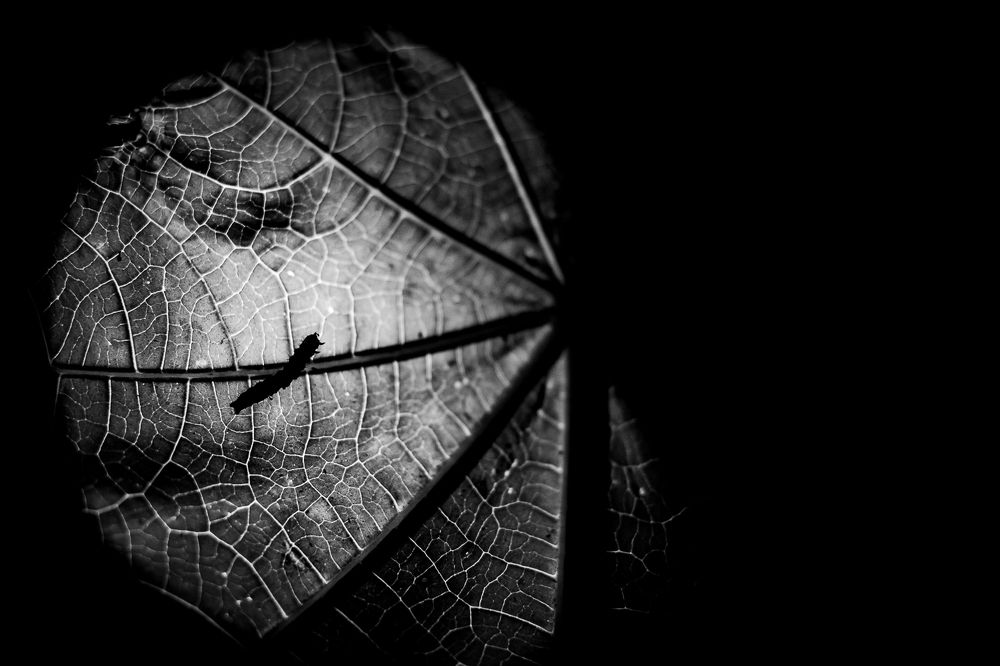 Photograph by Akshita Jain