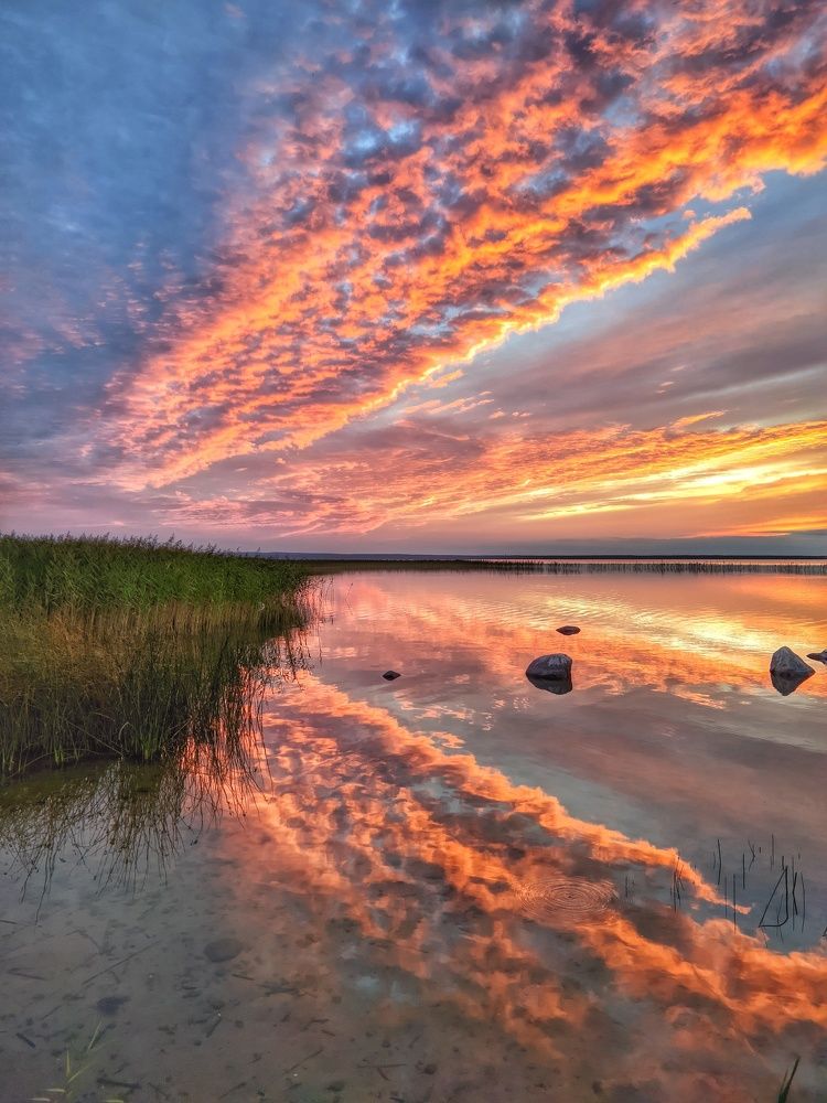 Photograph by Владимир Шаруба